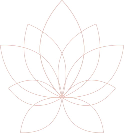 lotus-blume-klein